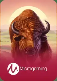 Microgaming pokies at Auwin